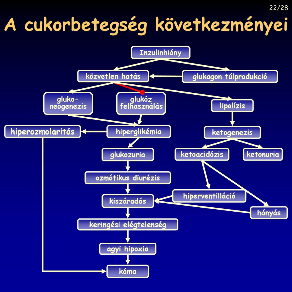 Anyag S Energiaforgalom Ppt Let Lteni